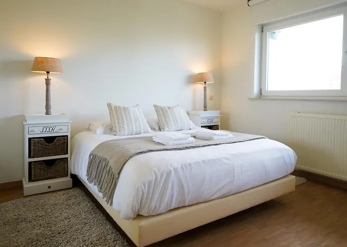 Apartamento Huswell - With Sea View & Terrace In Oostduinkerke Koksijde